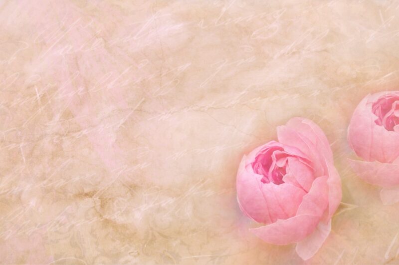 image - Dusty Rose