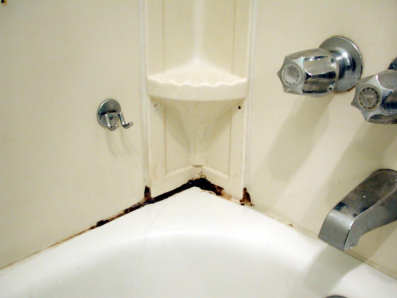 image - Moldy Shower Caulk
