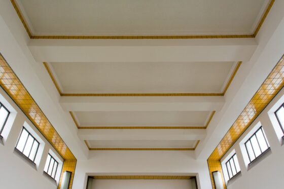 featured image - Tray Ceiling vs. Cathedral Ceiling Which One is More Elegant for Your Living Room