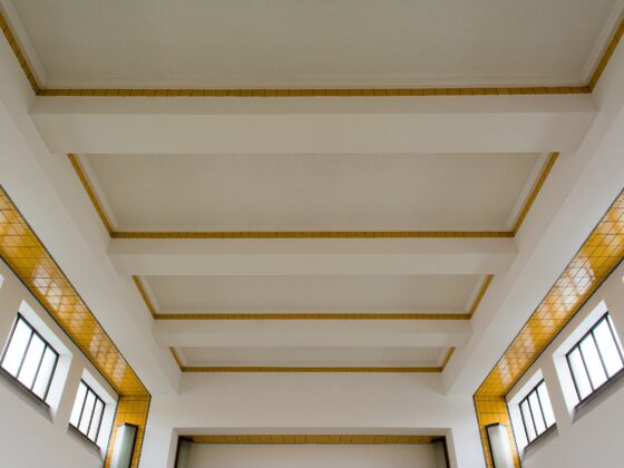 featured image - Tray Ceiling vs. Cathedral Ceiling Which One is More Elegant for Your Living Room