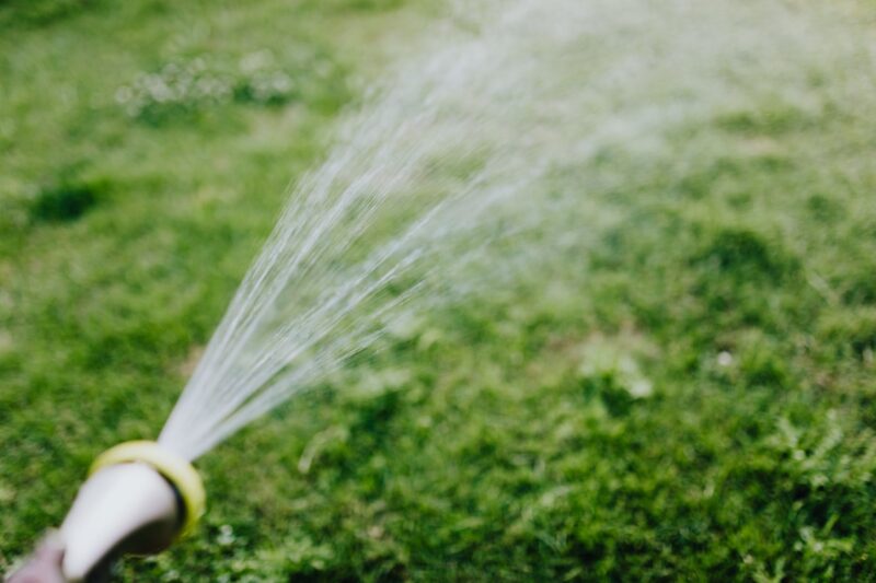 image - Water and Fertilize Your Lawn