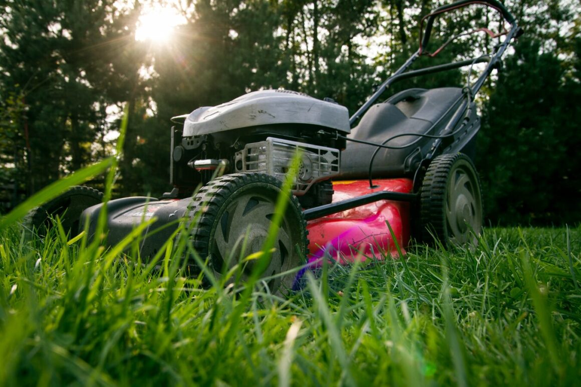 featured image - Beginner Tips for Mowing and Maintaining Grass