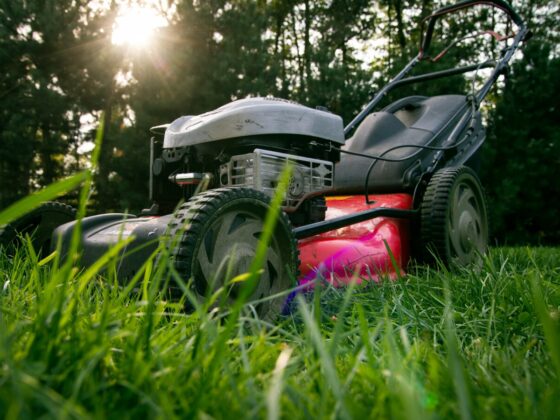 featured image - Beginner Tips for Mowing and Maintaining Grass
